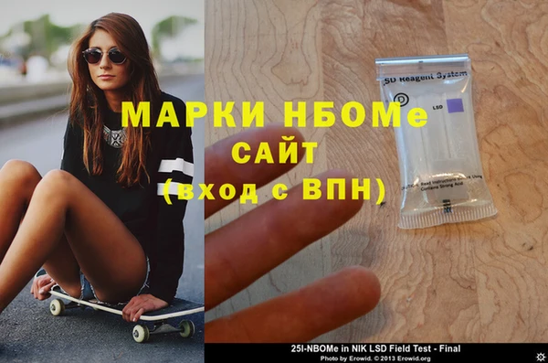 прущий лед Бикин