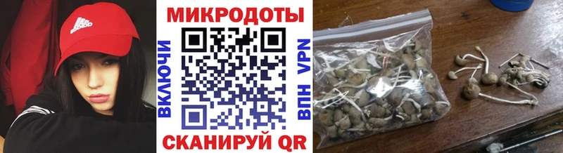 Галлюциногенные грибы Cubensis Заполярный